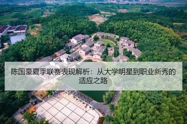 陈国豪夏季联赛表现解析：从大学明星到职业新秀的适应之路