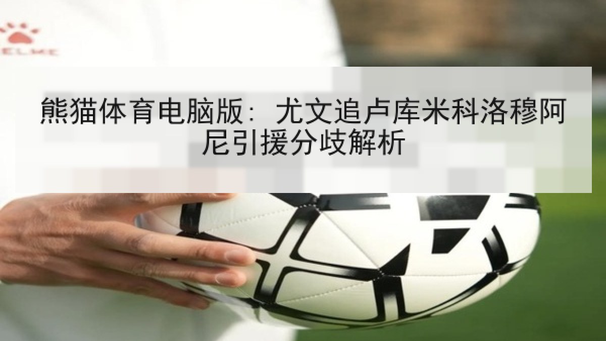 熊猫体育电脑版: 尤文追卢库米科洛穆阿尼引援分歧解析